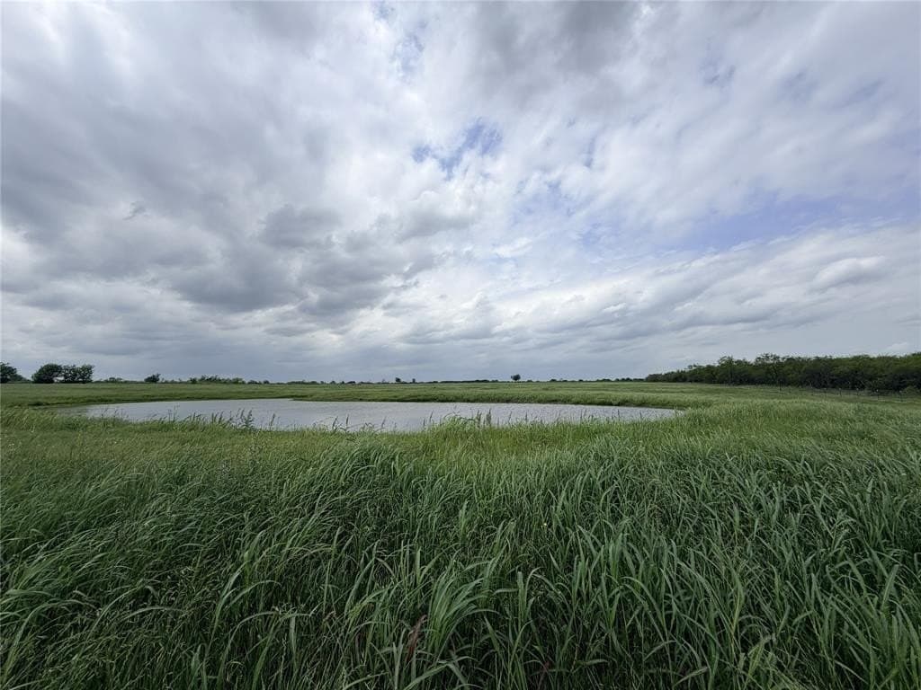 14 acres in Ellis County gallery image 4