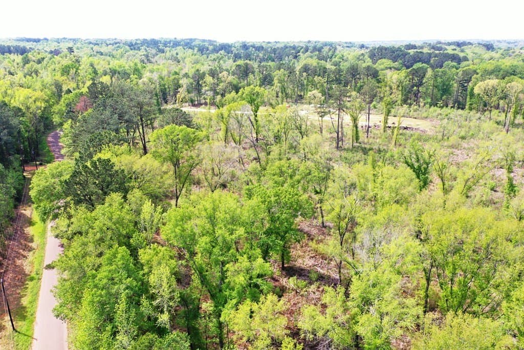 22.5 acres in ANDERSON County gallery image 4