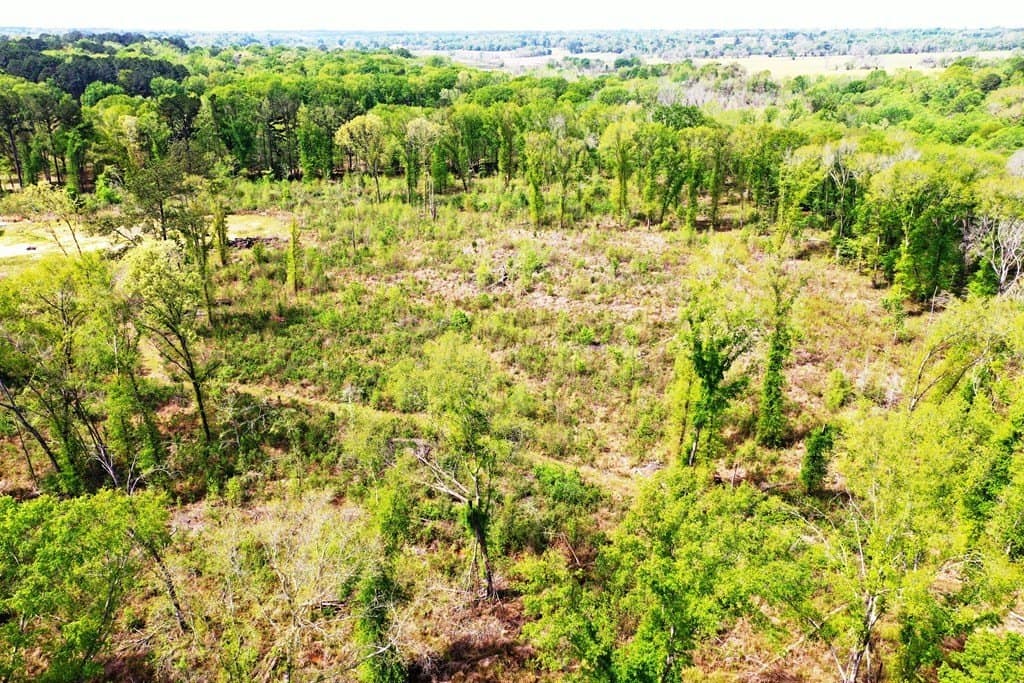 22.5 acres in ANDERSON County - photo 7