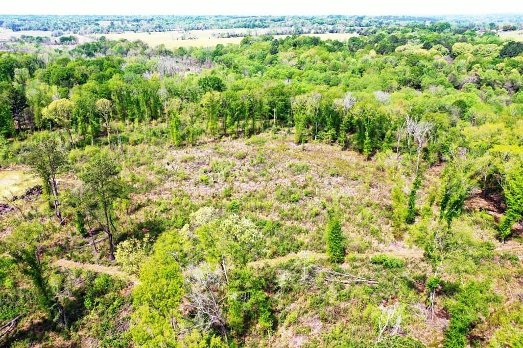 22.5 acres in ANDERSON County - photo 13