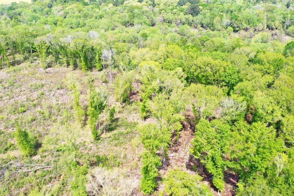 22.5 acres in ANDERSON County - photo 11