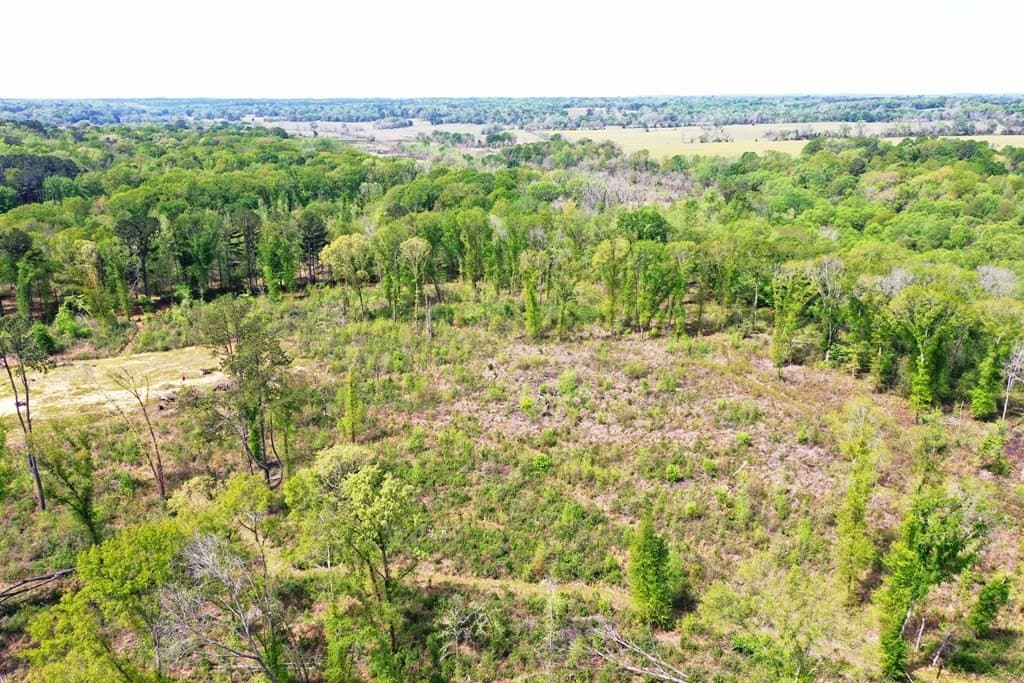 22.5 acres in ANDERSON County - photo 10