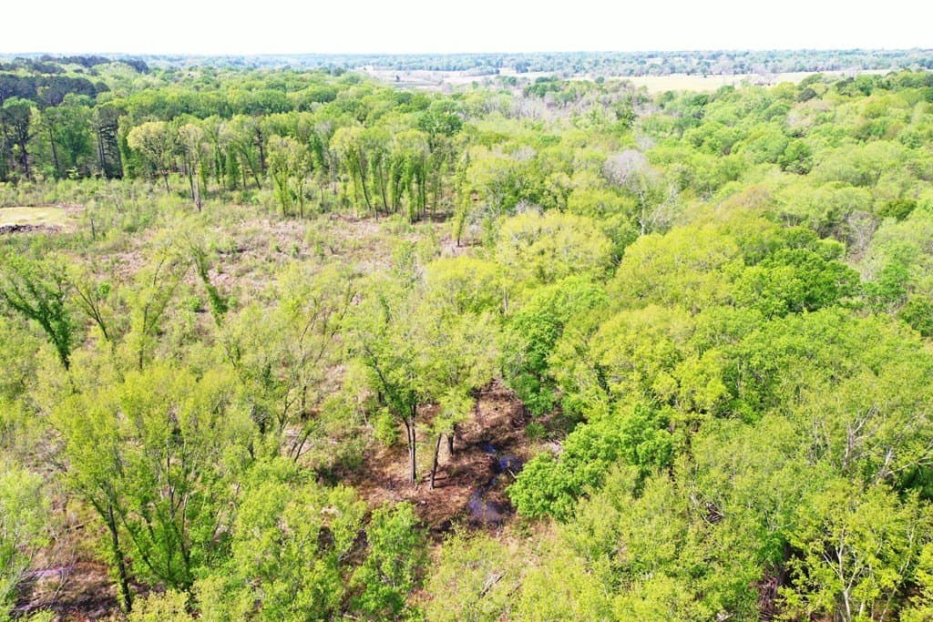 22.5 acres in ANDERSON County gallery image 2