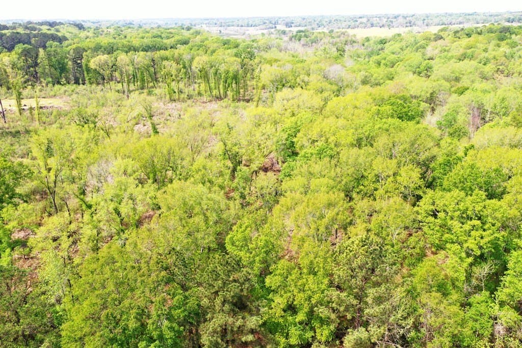22.5 acres in ANDERSON County gallery image 3