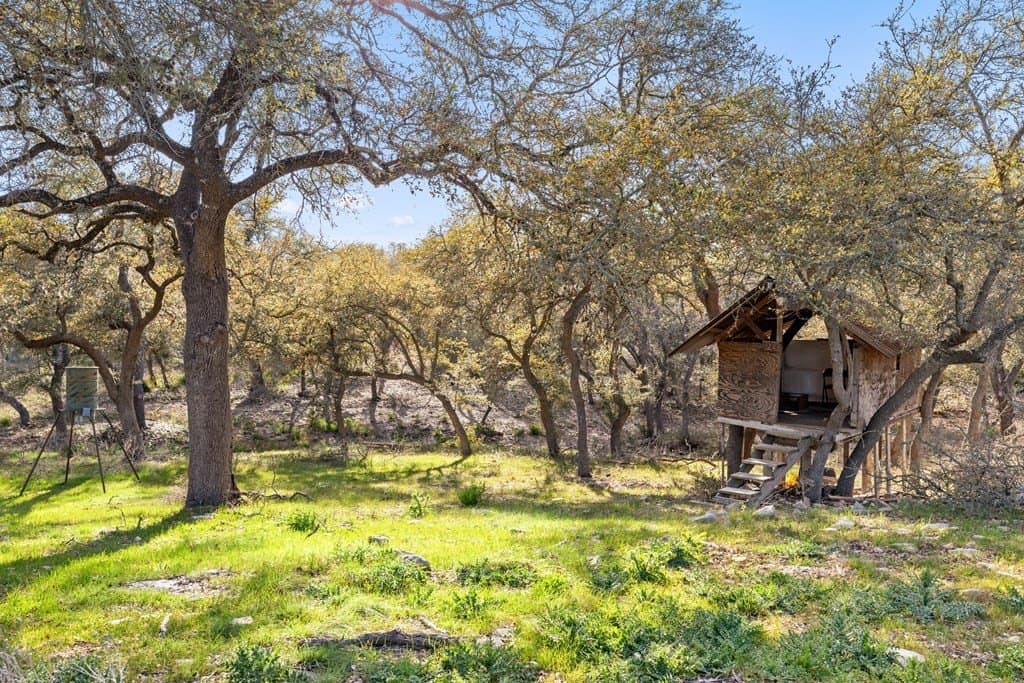 10.03 acres in Blanco County - photo 29