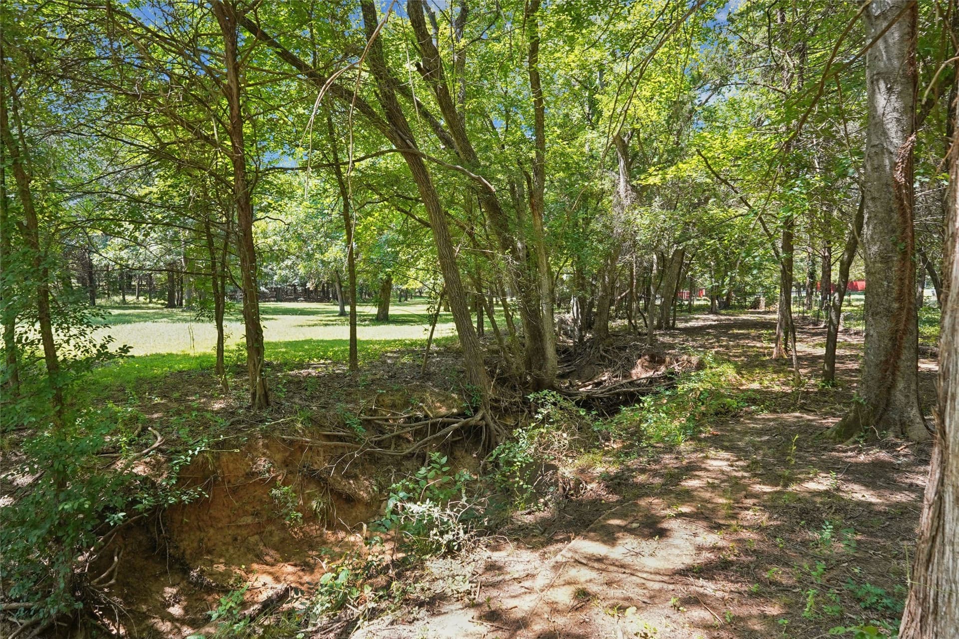 11.6 acres in Grayson County - photo 36
