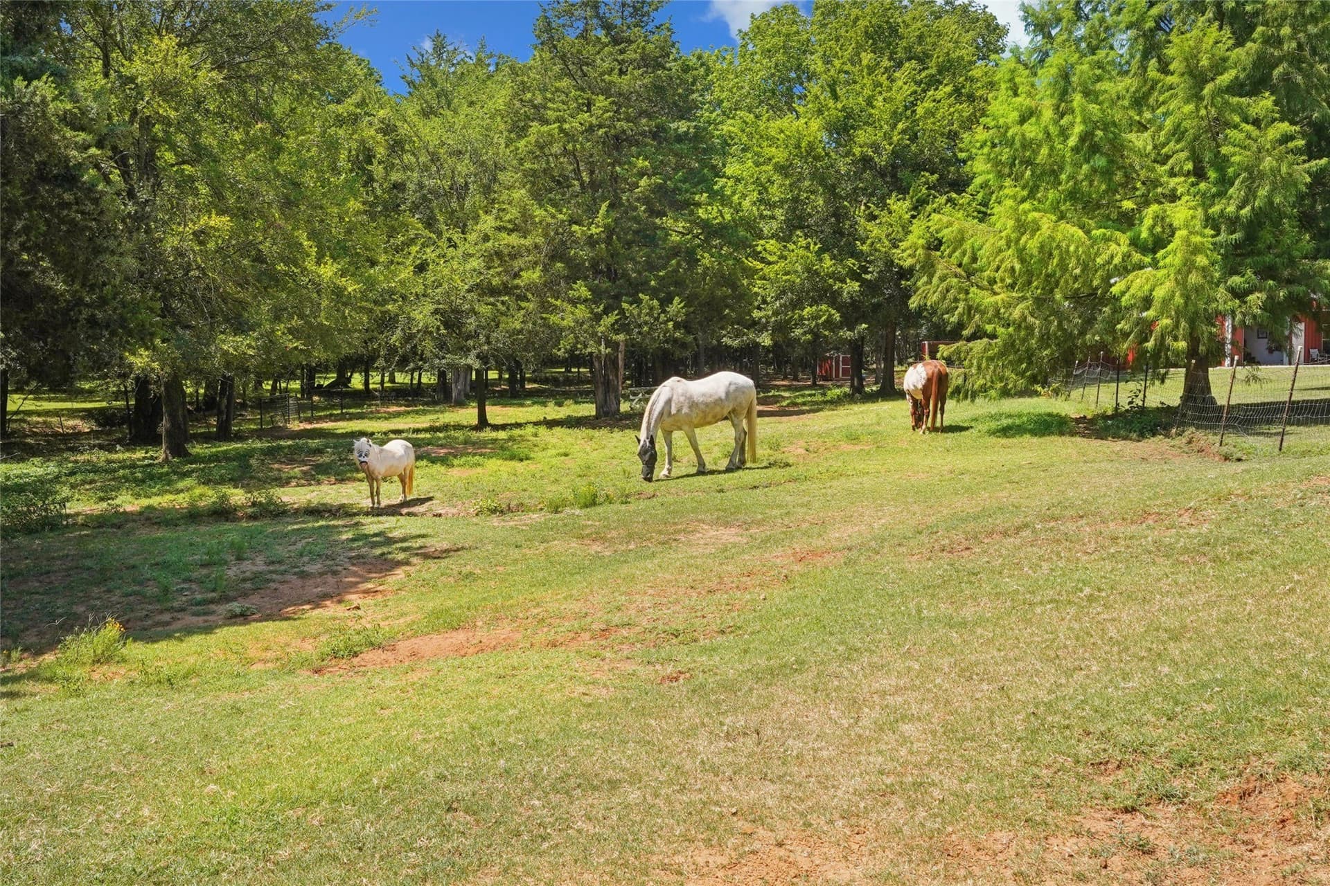 11.6 acres in Grayson County - photo 37