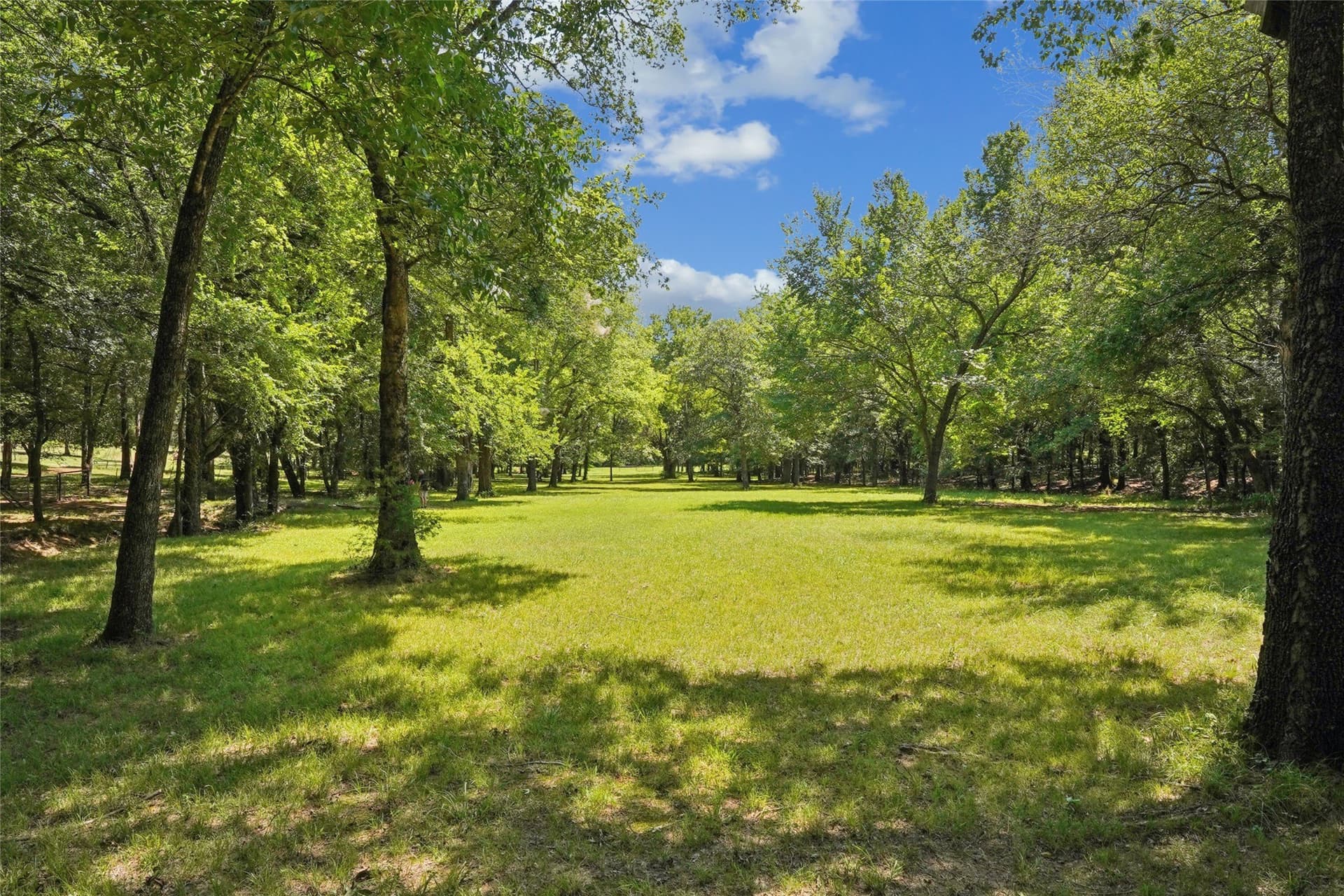 11.6 acres in Grayson County - photo 6