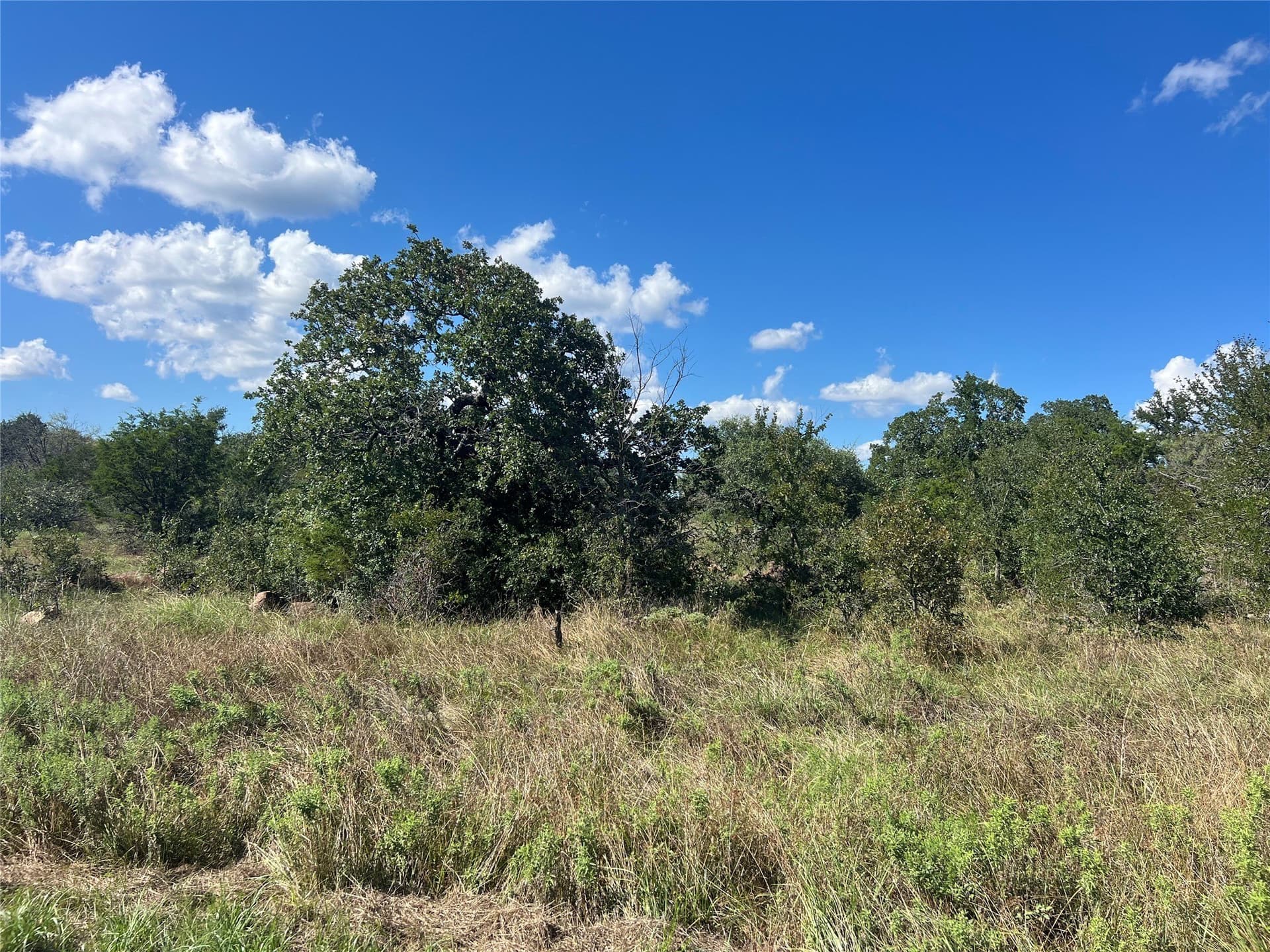 3.77 acres in Palo Pinto County - photo 4