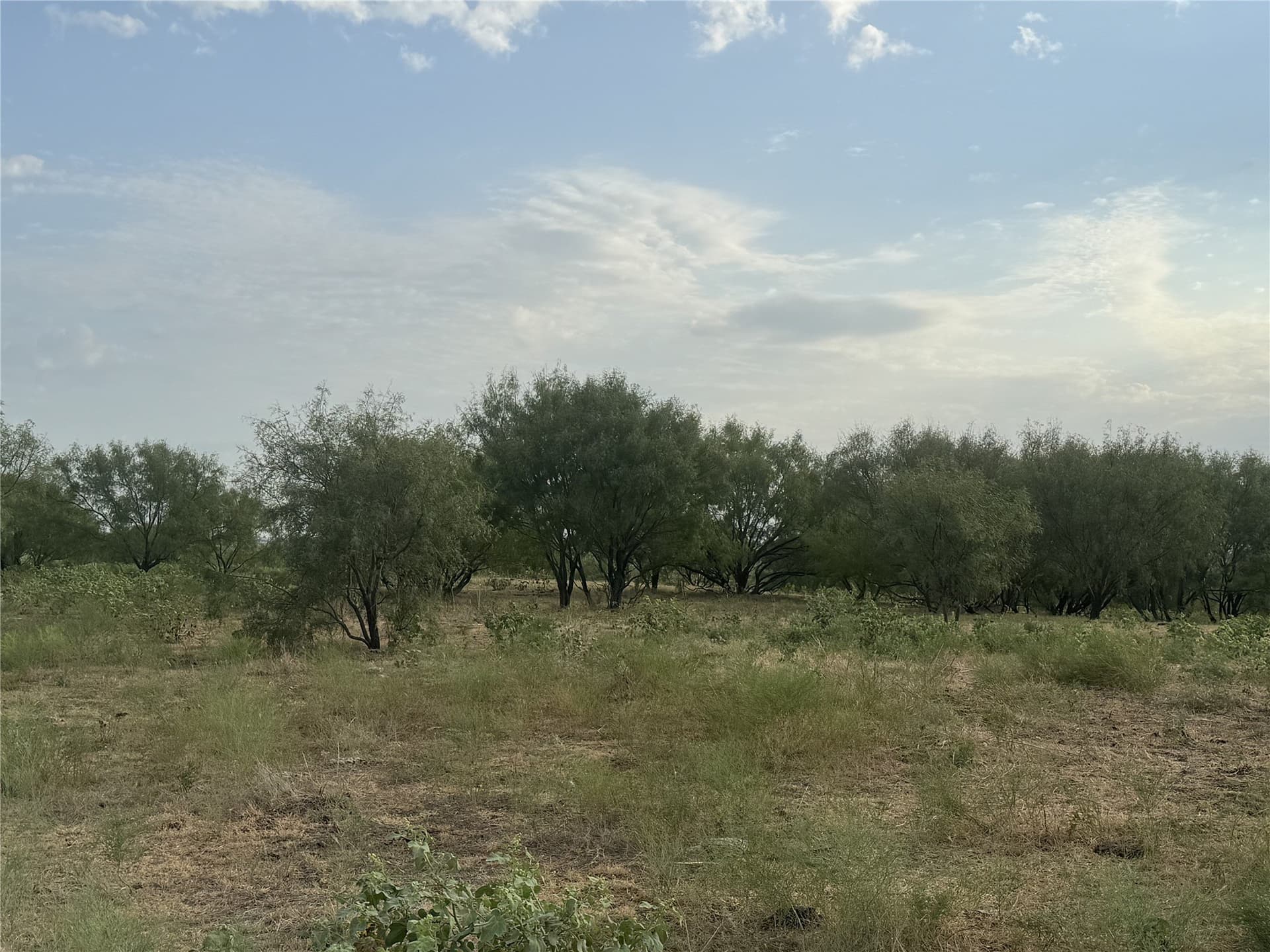 10.2 acres in Wise County - photo 8