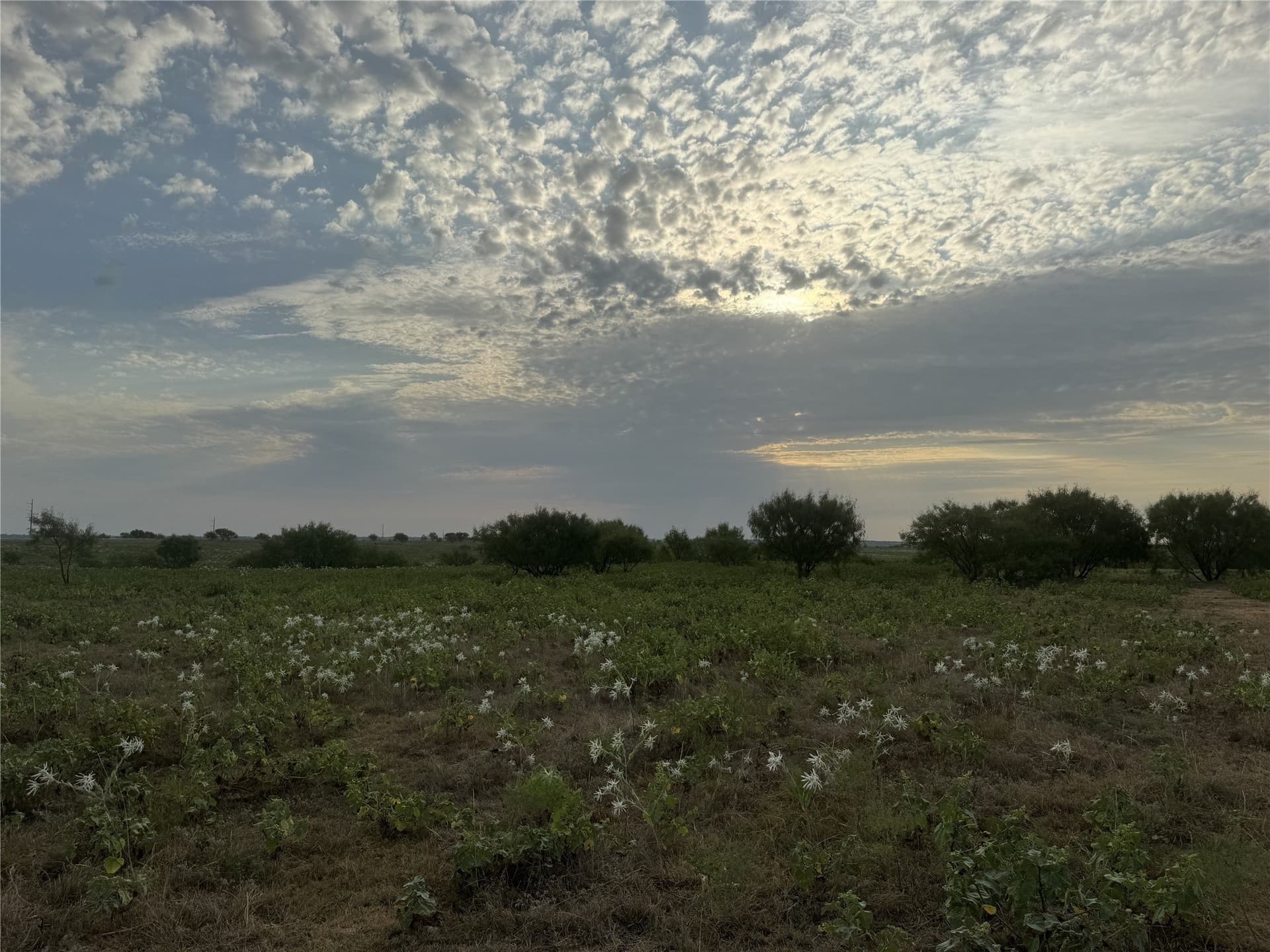 10.2 acres in Wise County - photo 7