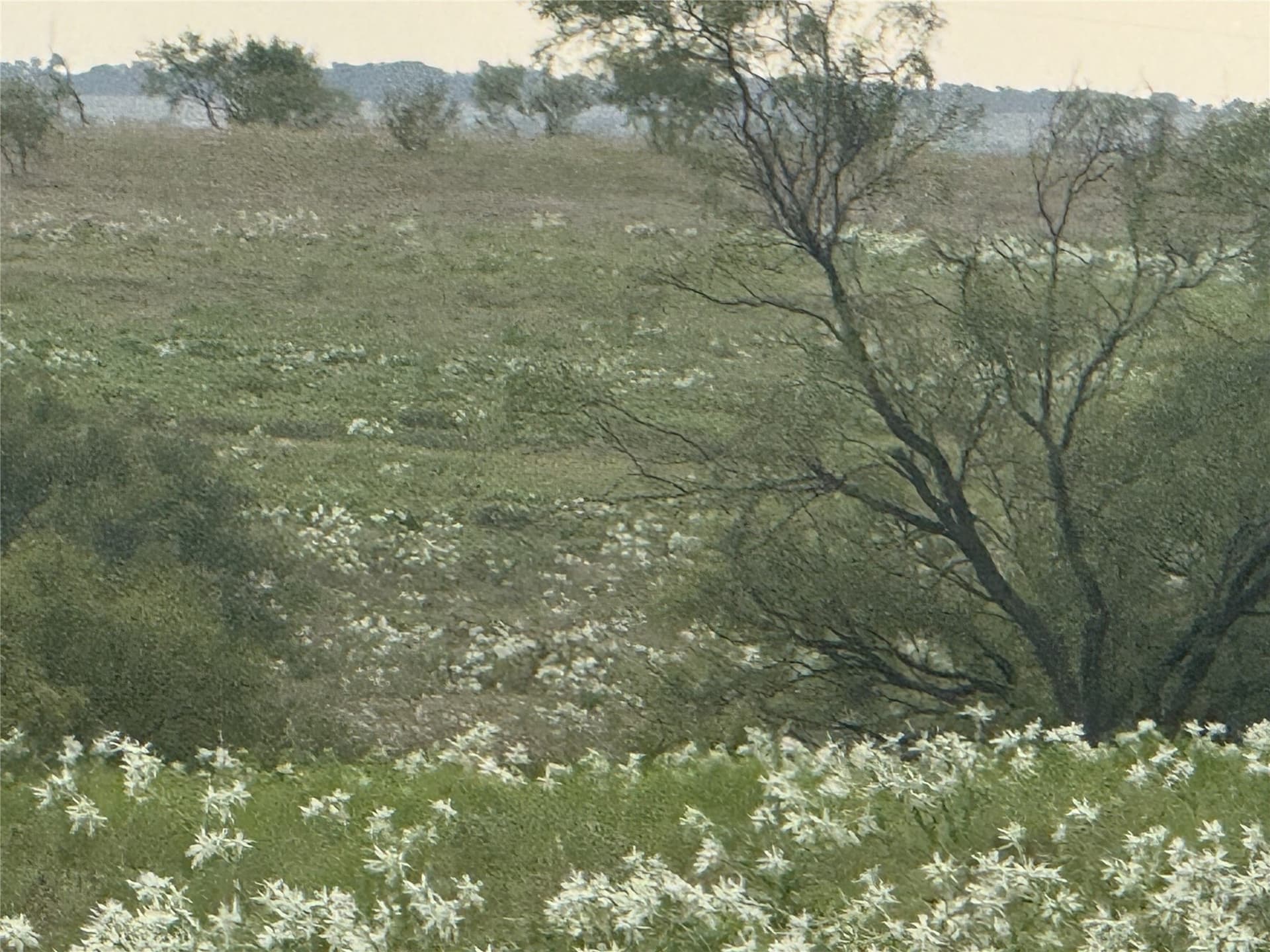 10.2 acres in Wise County - photo 3