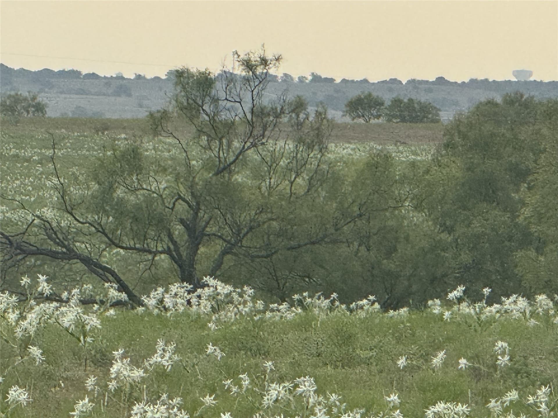 10.2 acres in Wise County - photo 6