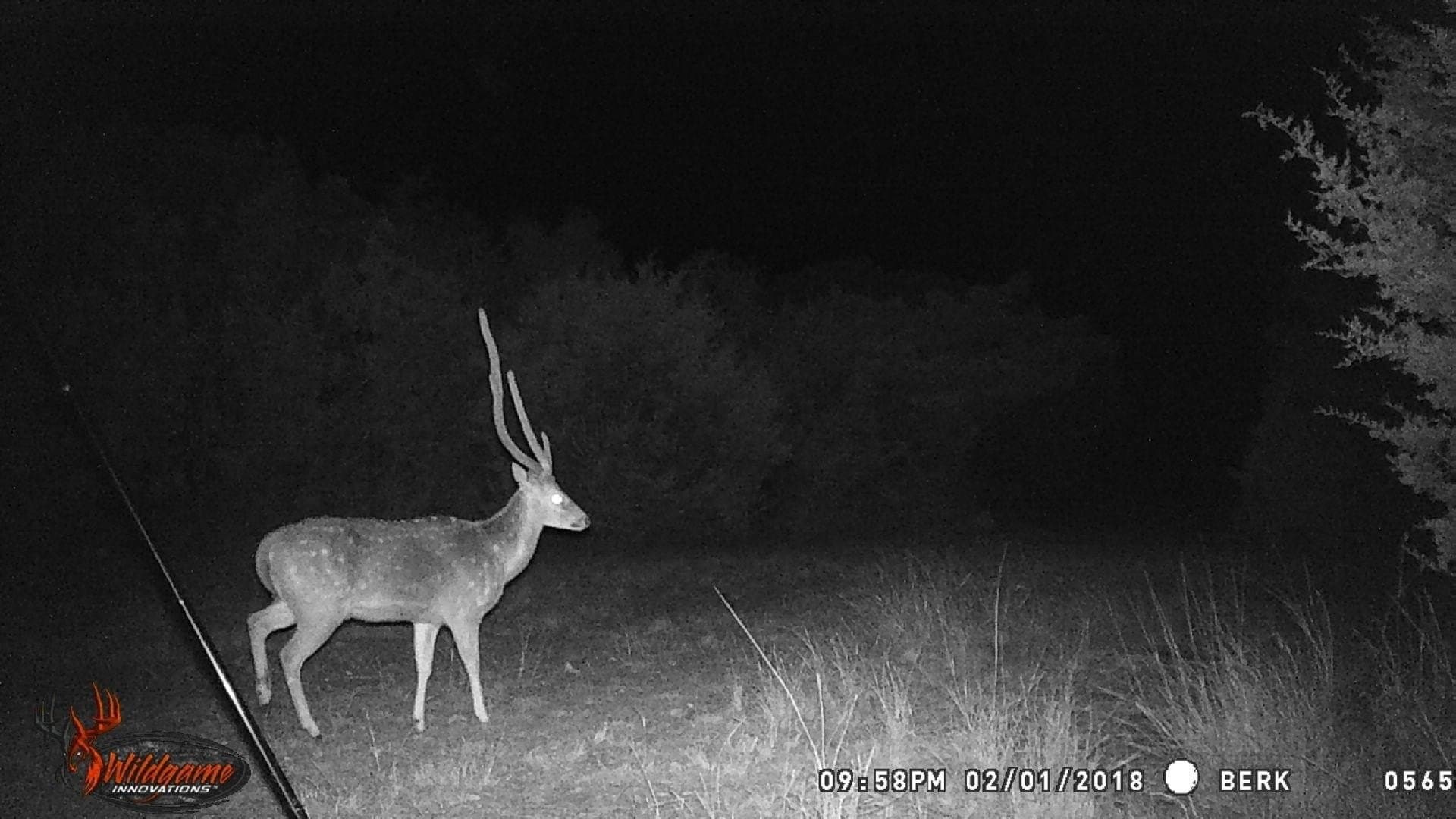 20.27 acres in Out of Area County - photo 6