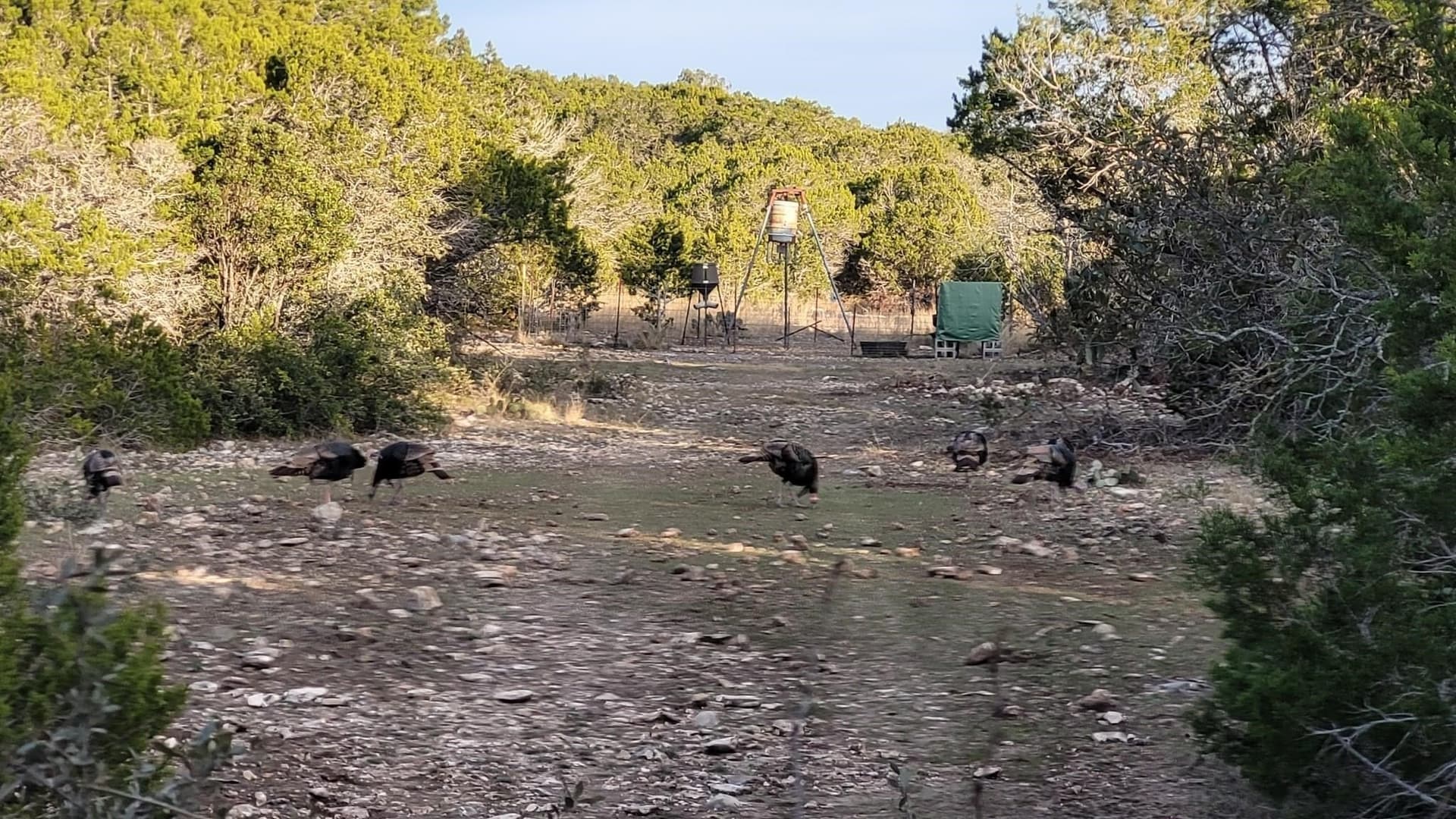 20.27 acres in Out of Area County gallery image 3