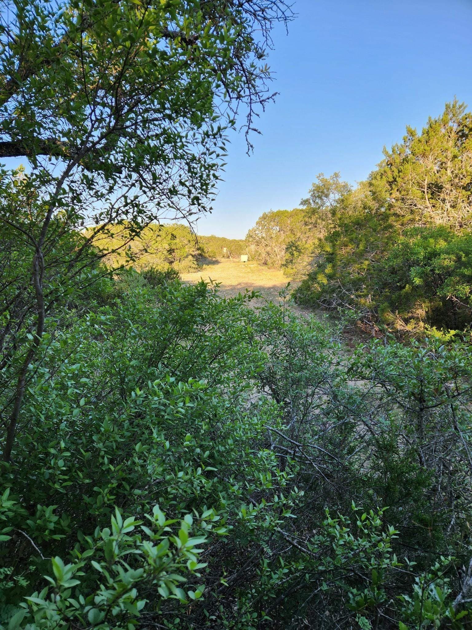 20.27 acres in Out of Area County - photo 7