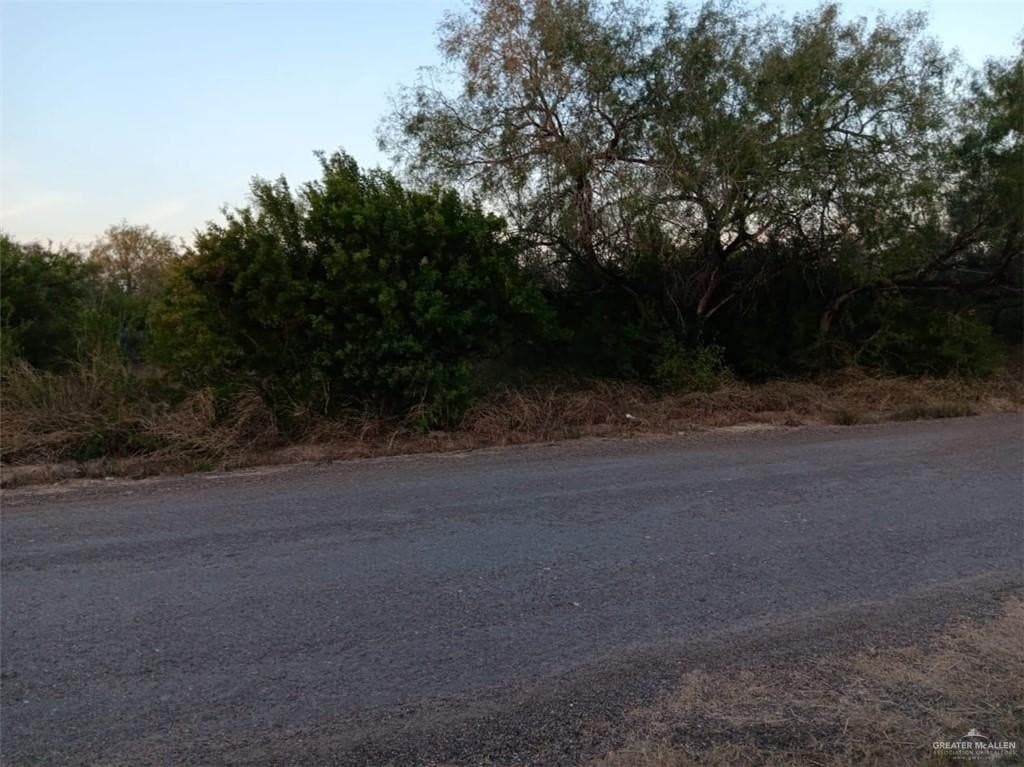 1.03 acres in Hidalgo County gallery image 2