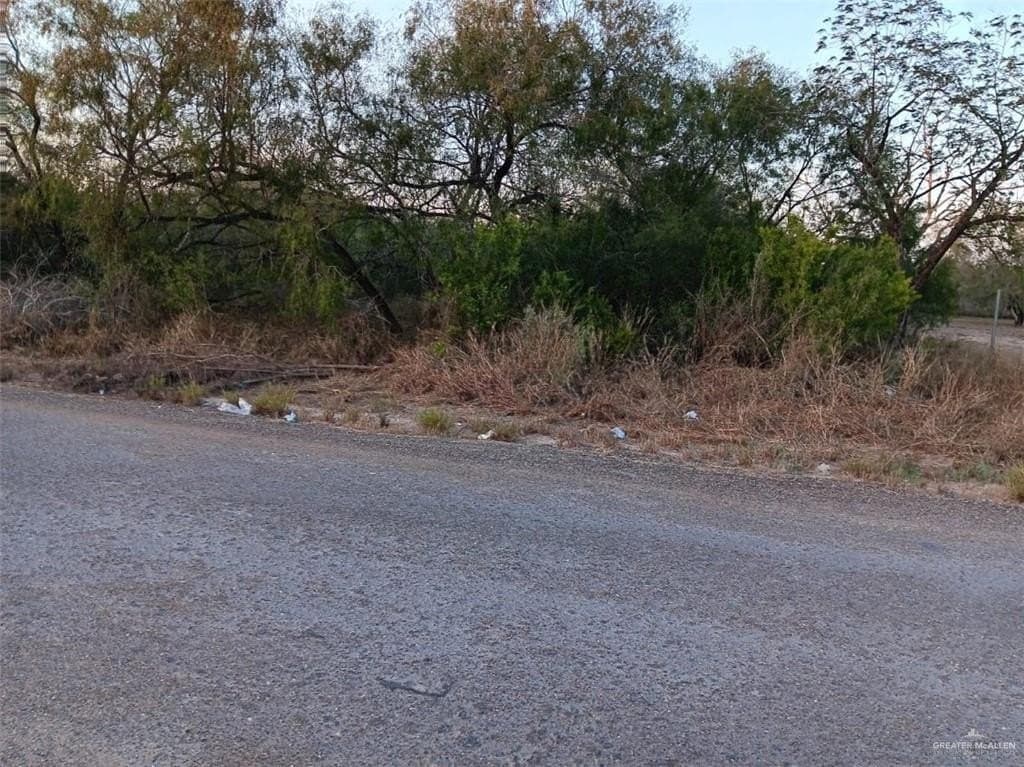 1.03 acres in Hidalgo County