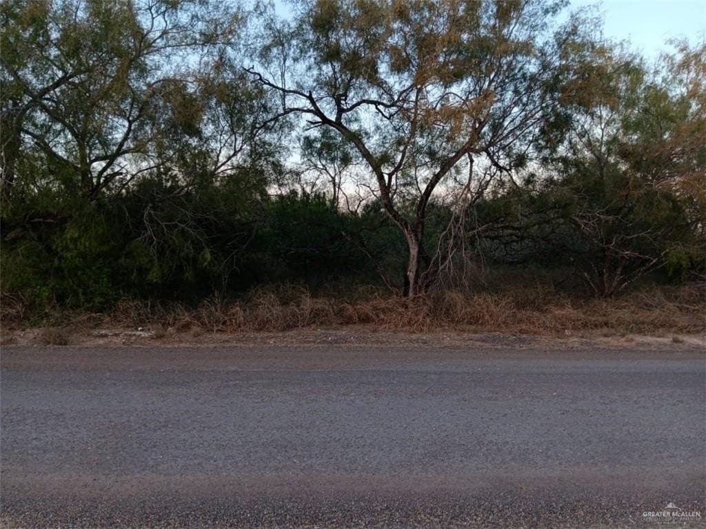1.03 acres in Hidalgo County gallery image 3
