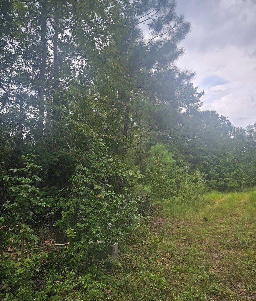 2 acres in Texas County gallery image 2
