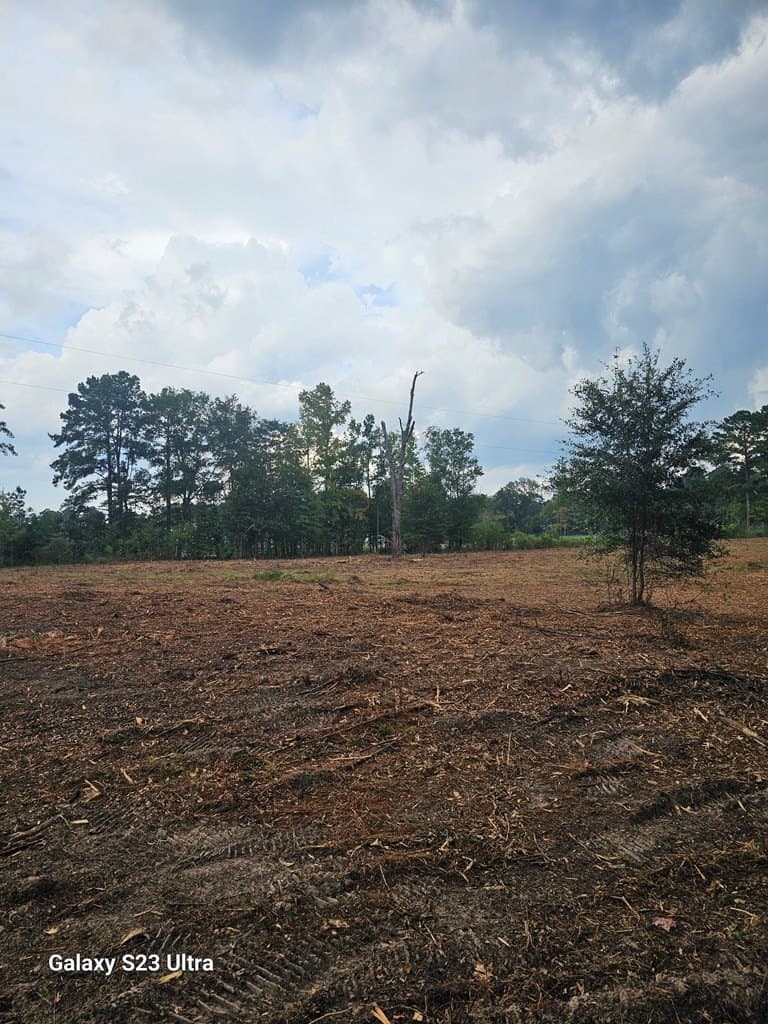 2 acres in Texas County - photo 6