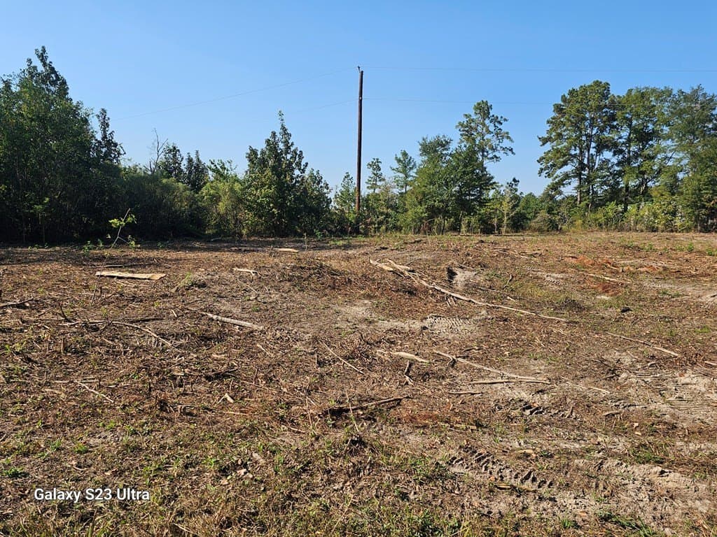 2 acres in Texas County - photo 11