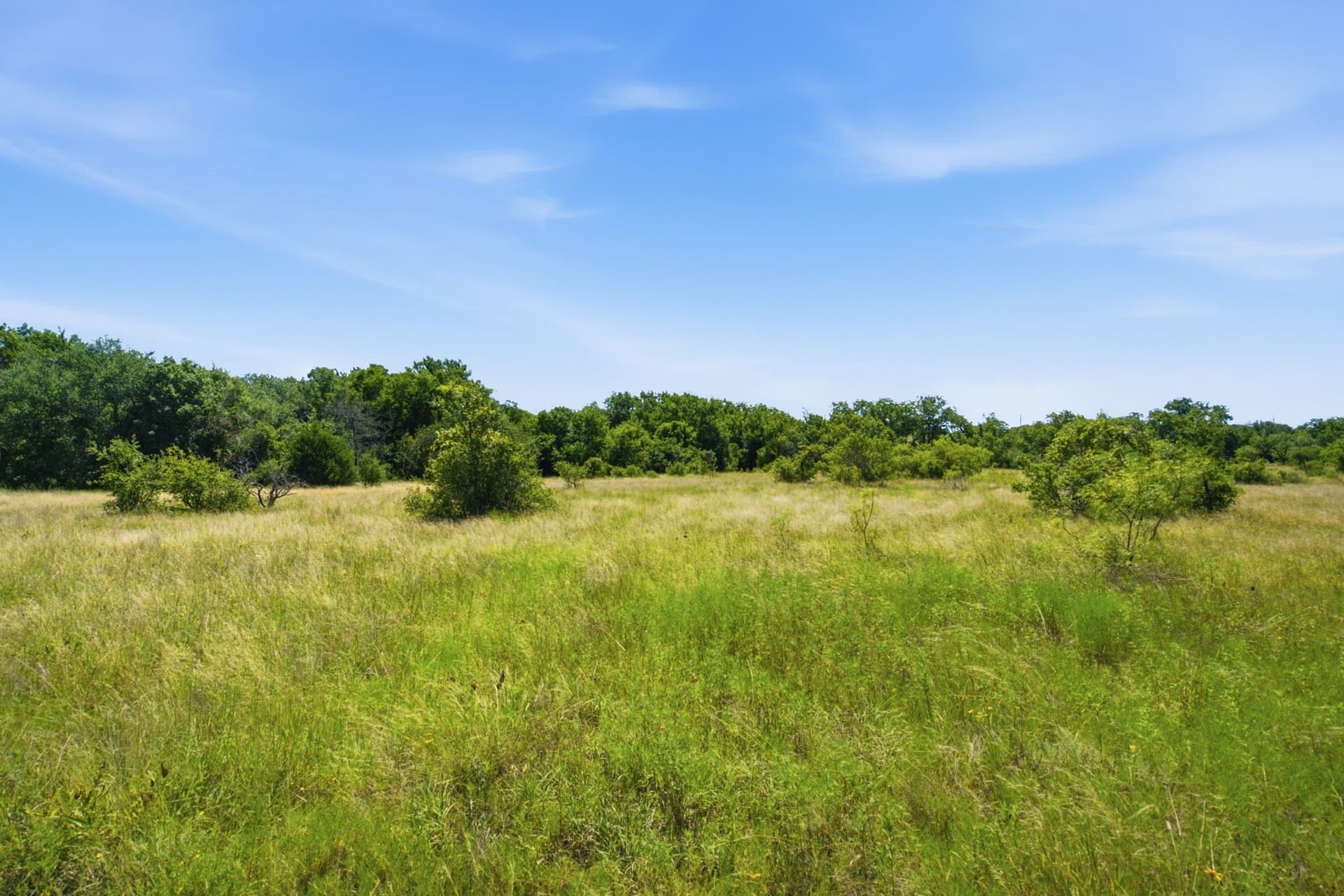 206 acres in Hamilton County - photo 18