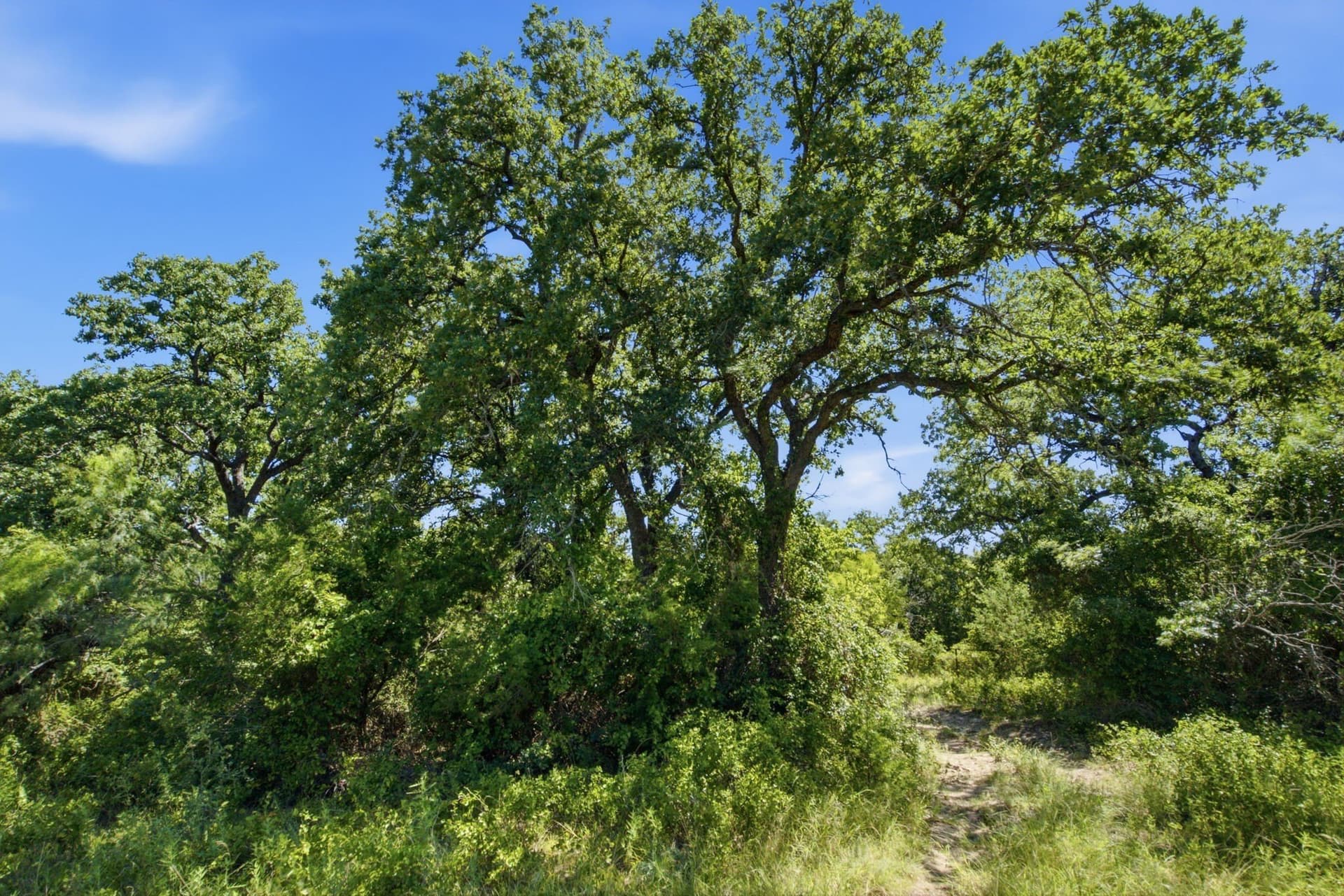 206 acres in Hamilton County - photo 30