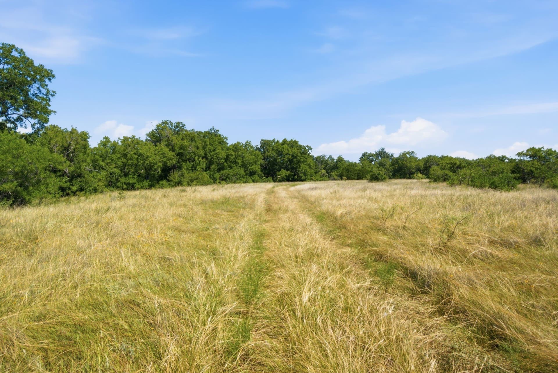 206 acres in Hamilton County - photo 20