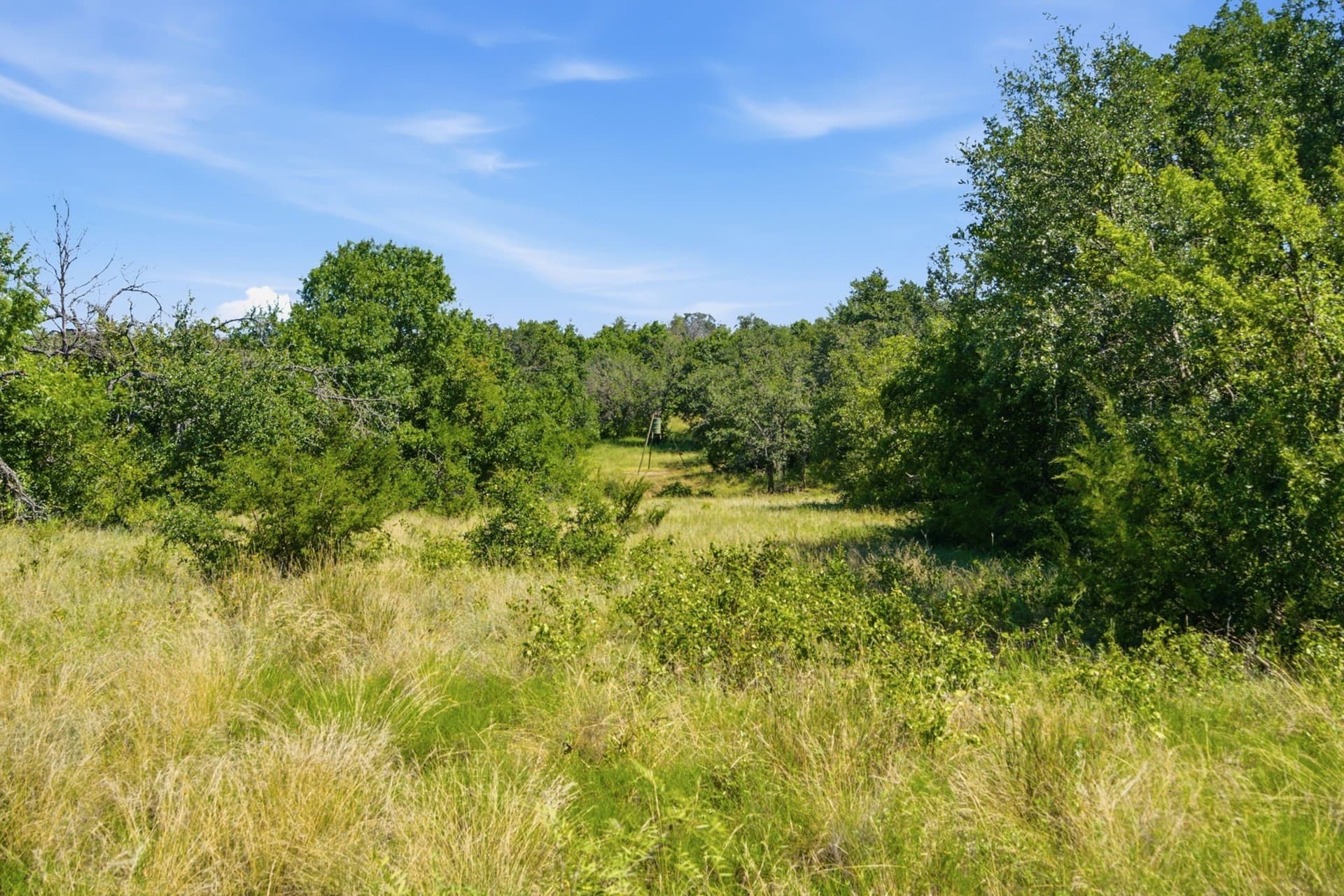 206 acres in Hamilton County - photo 22