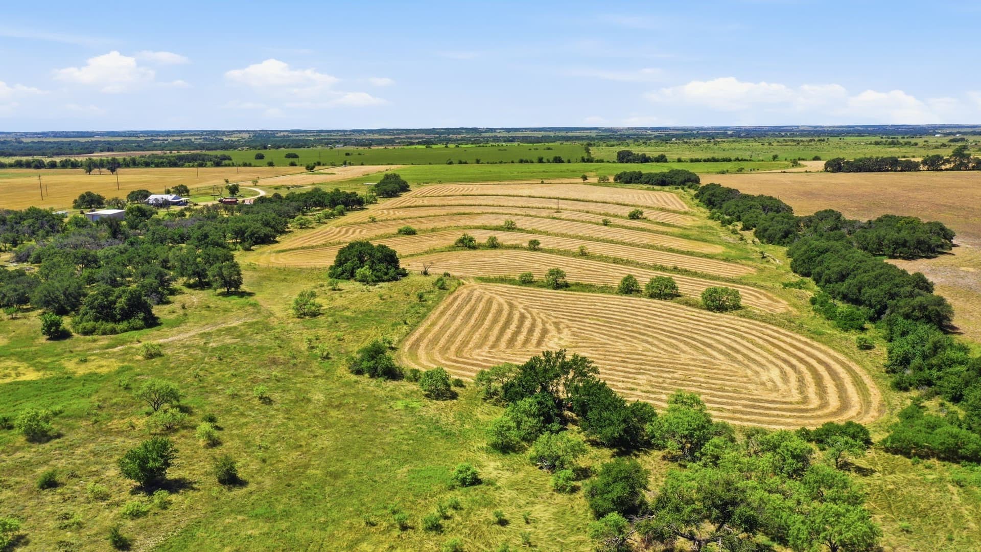 206 acres in Hamilton County - photo 13