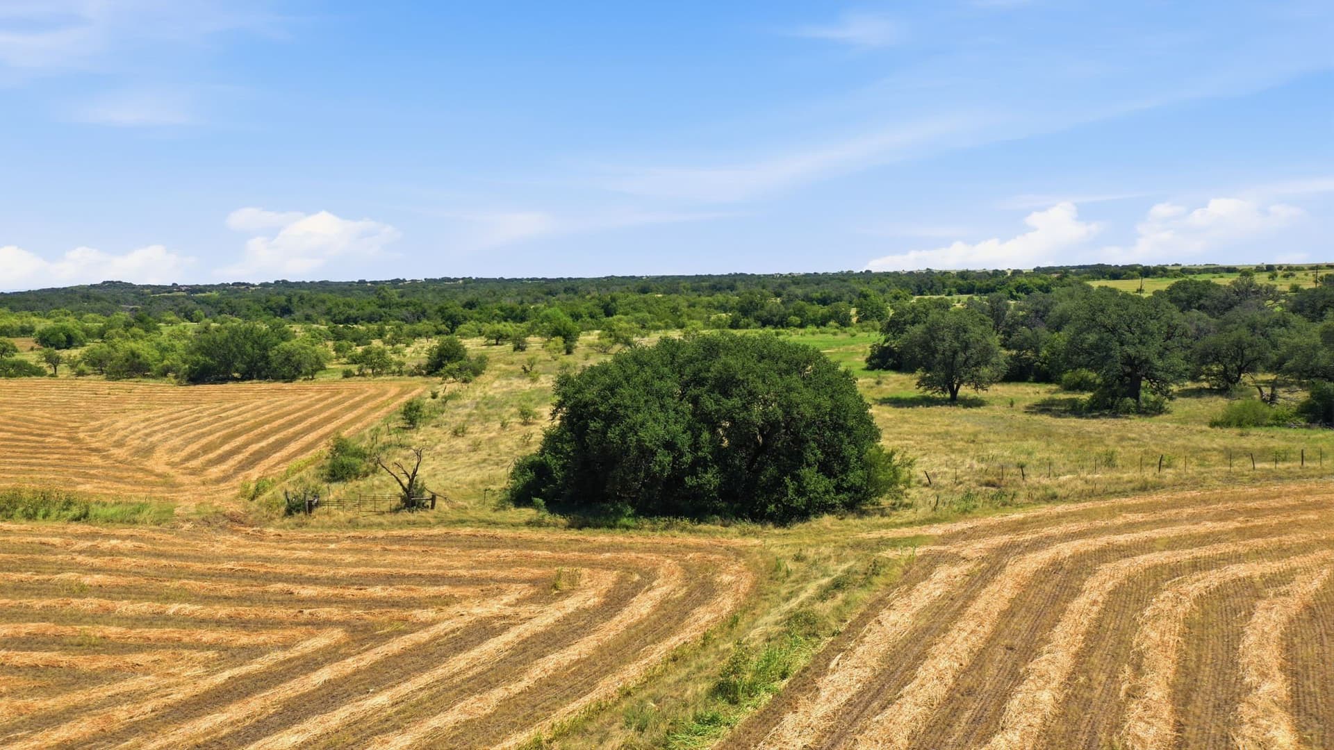 206 acres in Hamilton County - photo 11