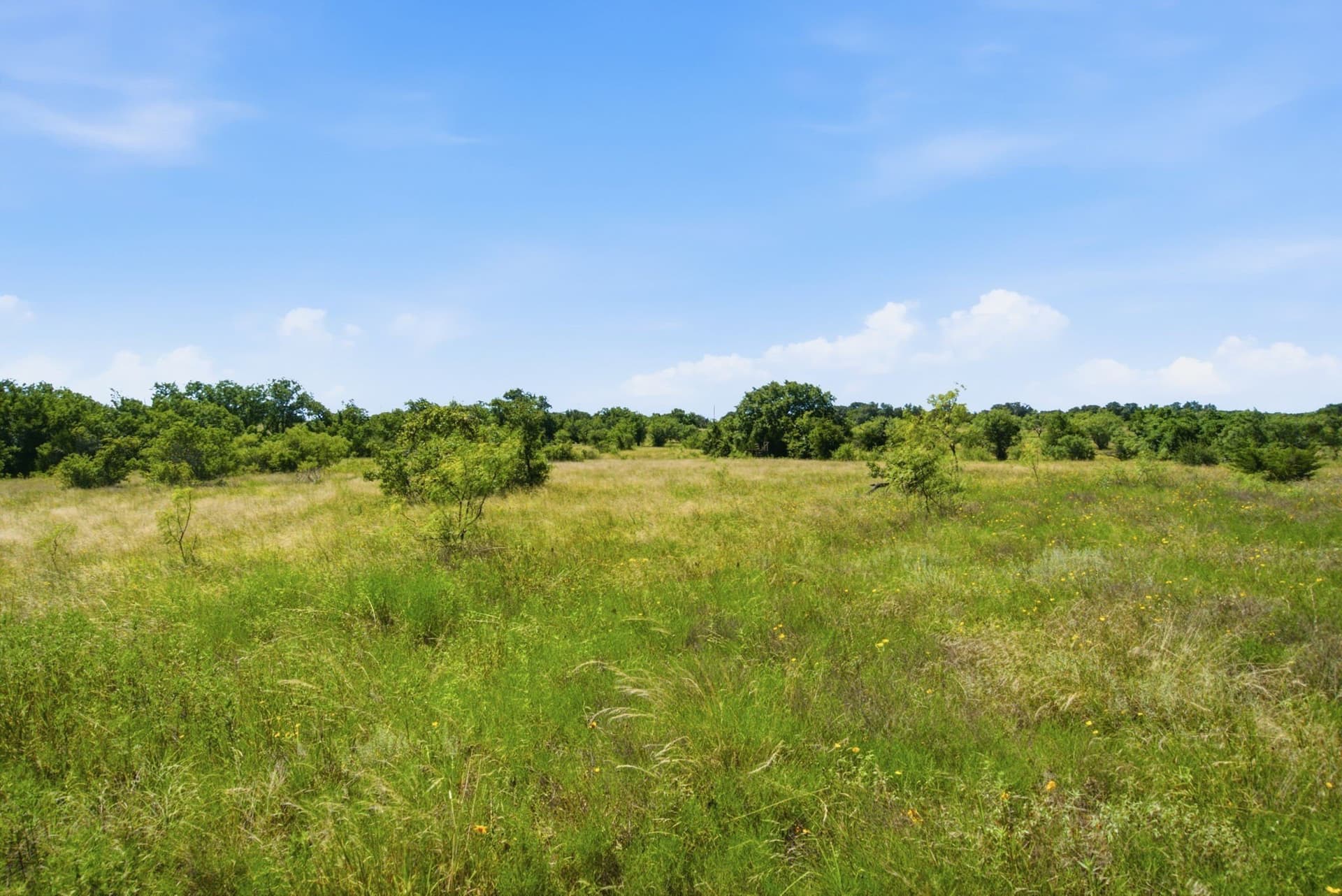 206 acres in Hamilton County - photo 19