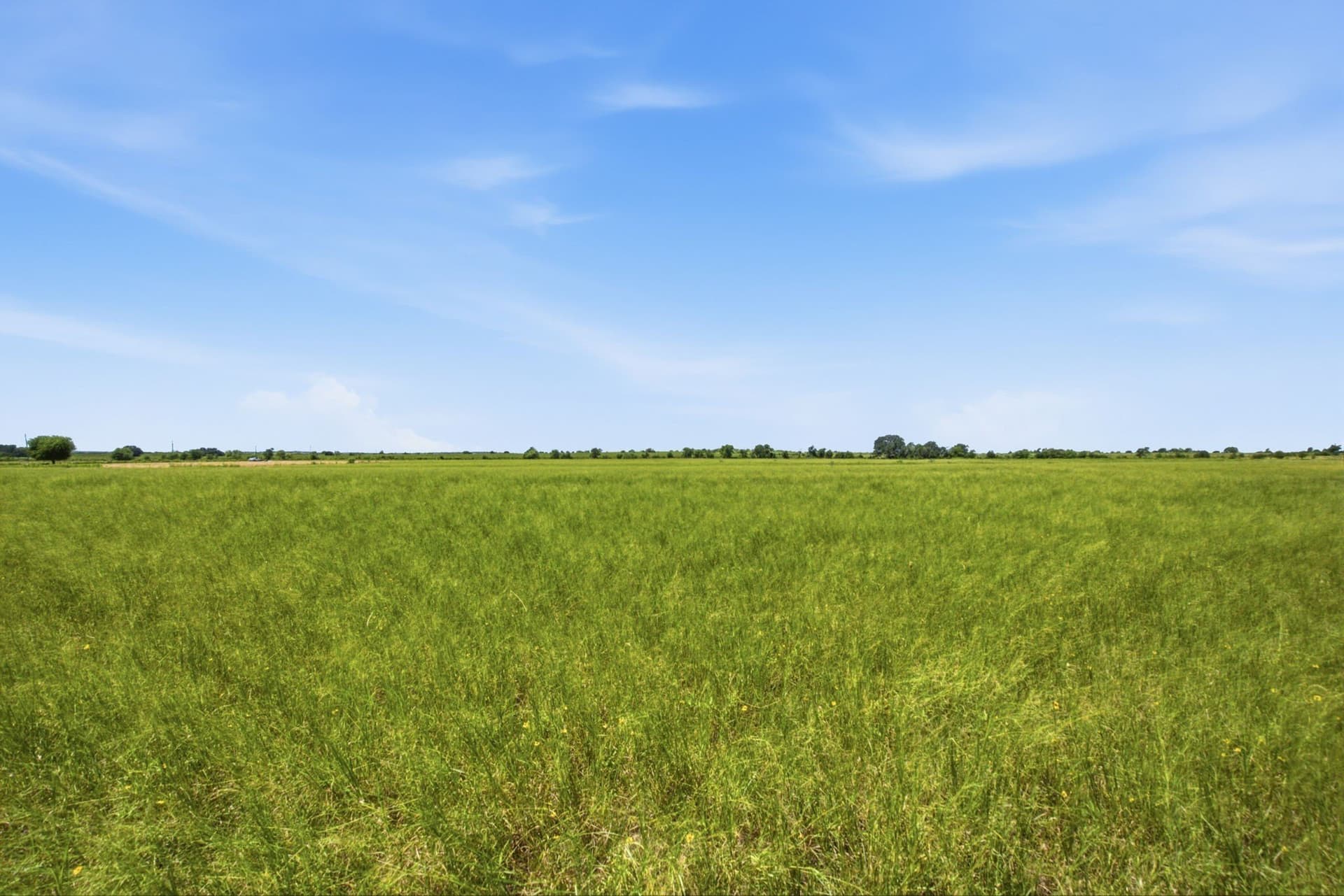 206 acres in Hamilton County - photo 14