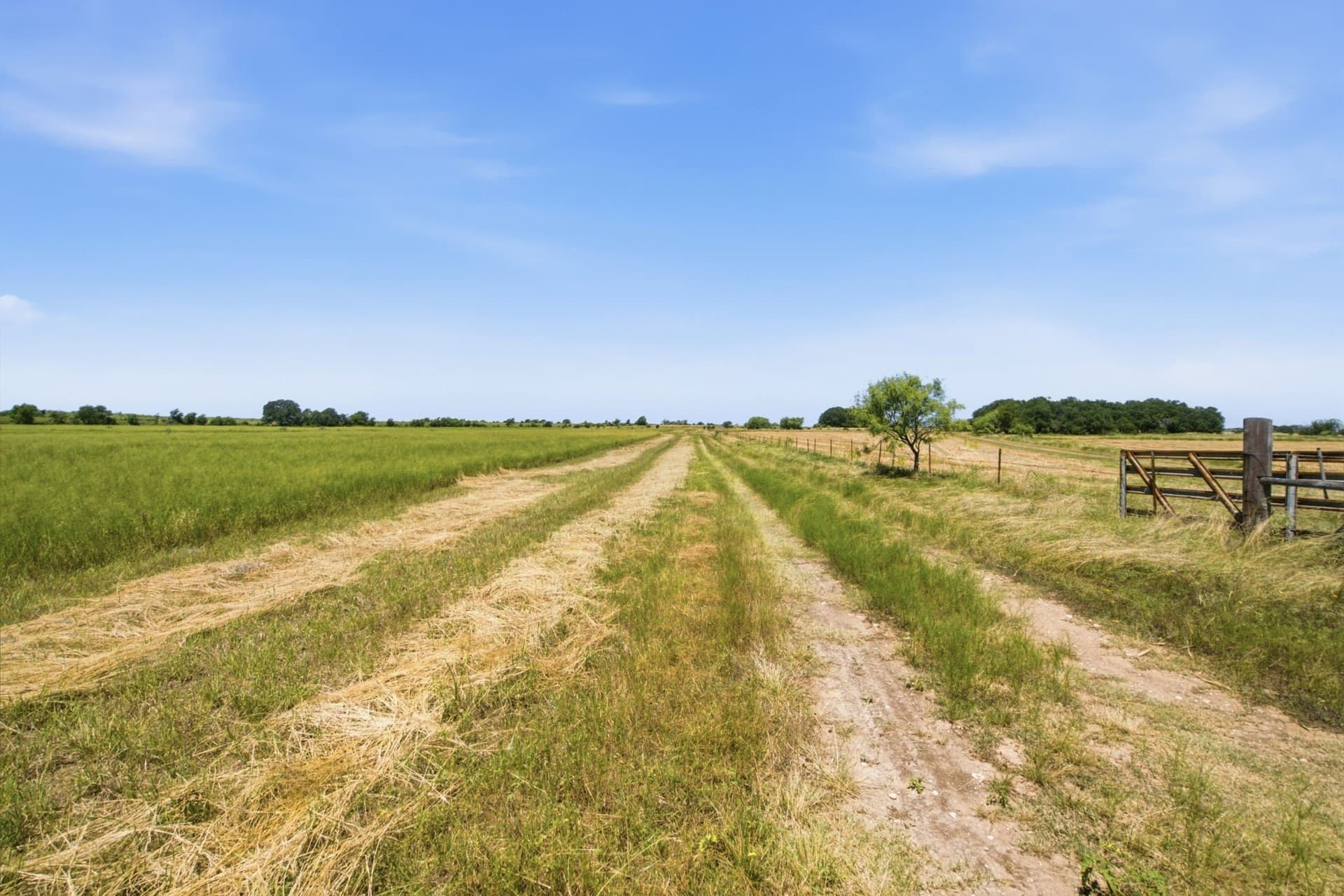 206 acres in Hamilton County - photo 26