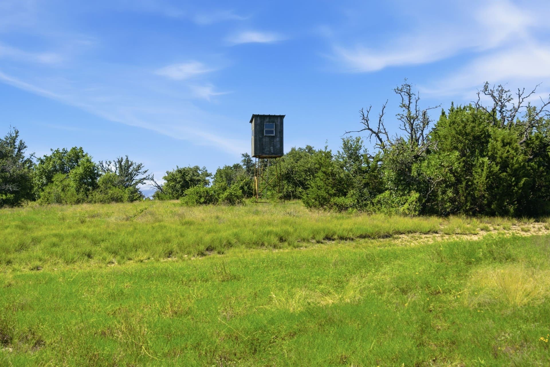 206 acres in Hamilton County - photo 23