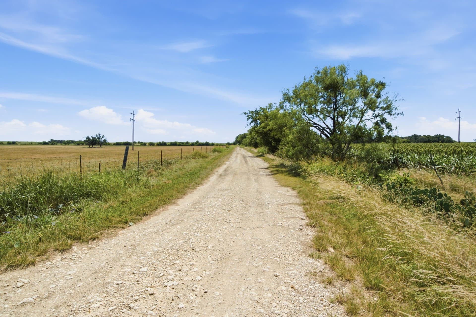 206 acres in Hamilton County - photo 27