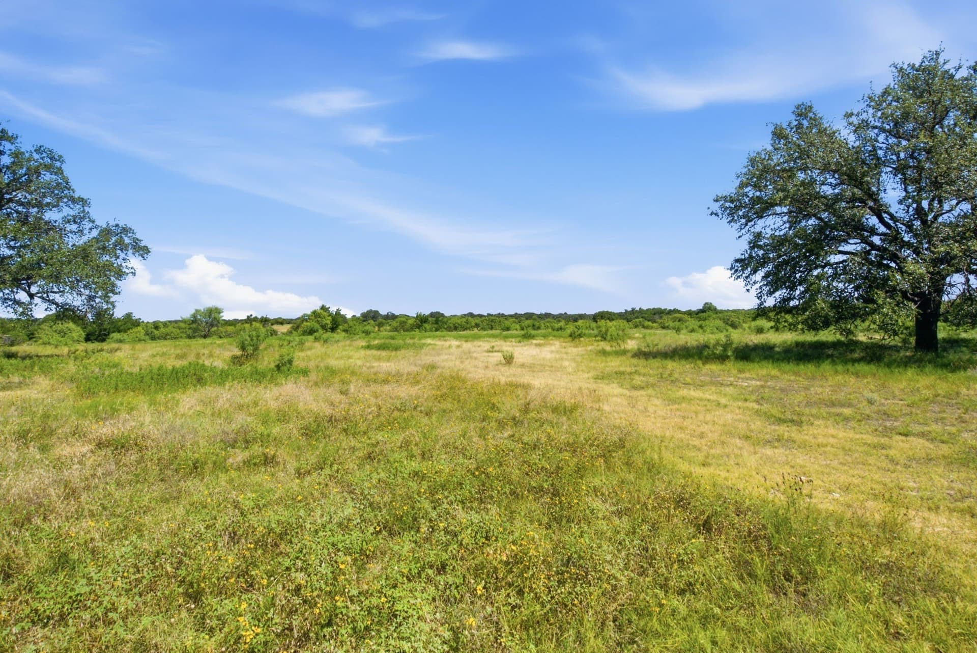 206 acres in Hamilton County - photo 17