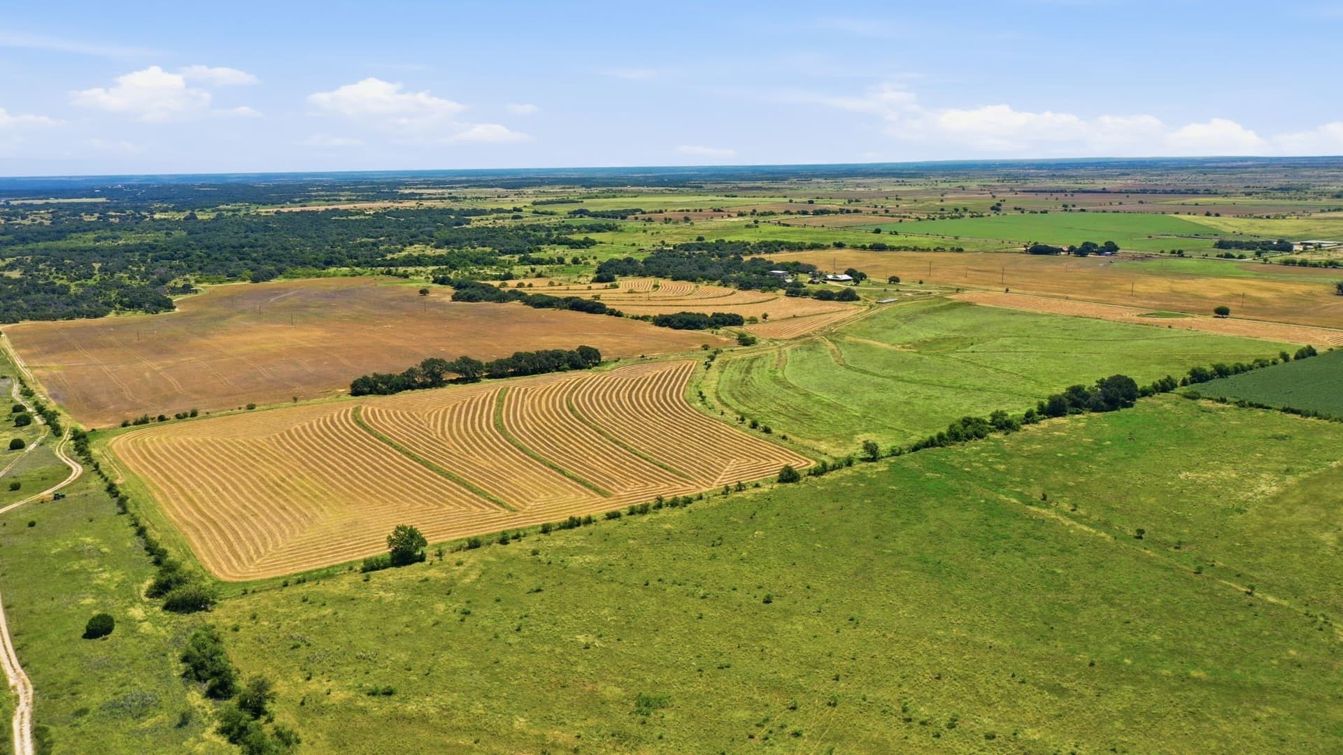 206 acres in Hamilton County - photo 10