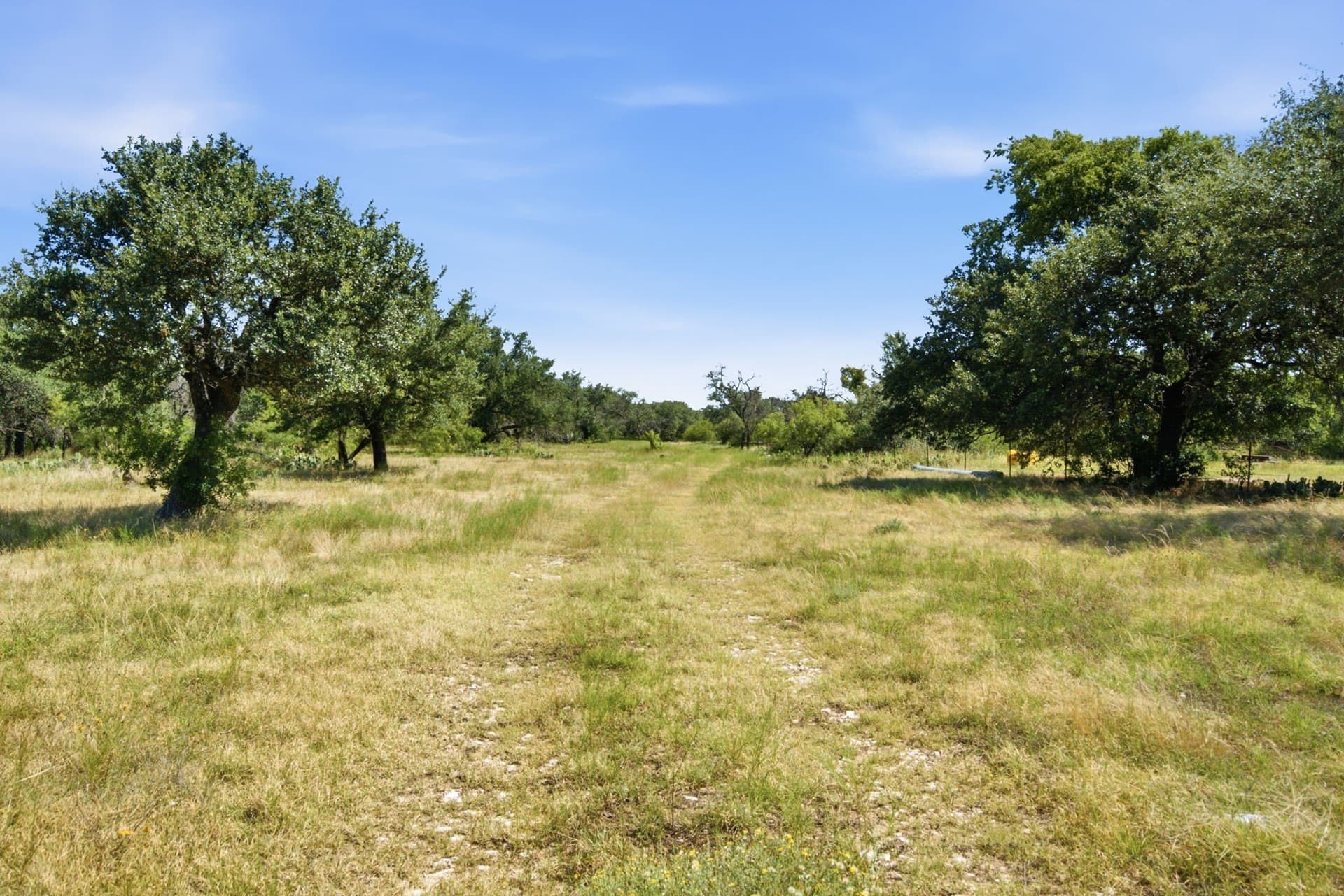 206 acres in Hamilton County - photo 15
