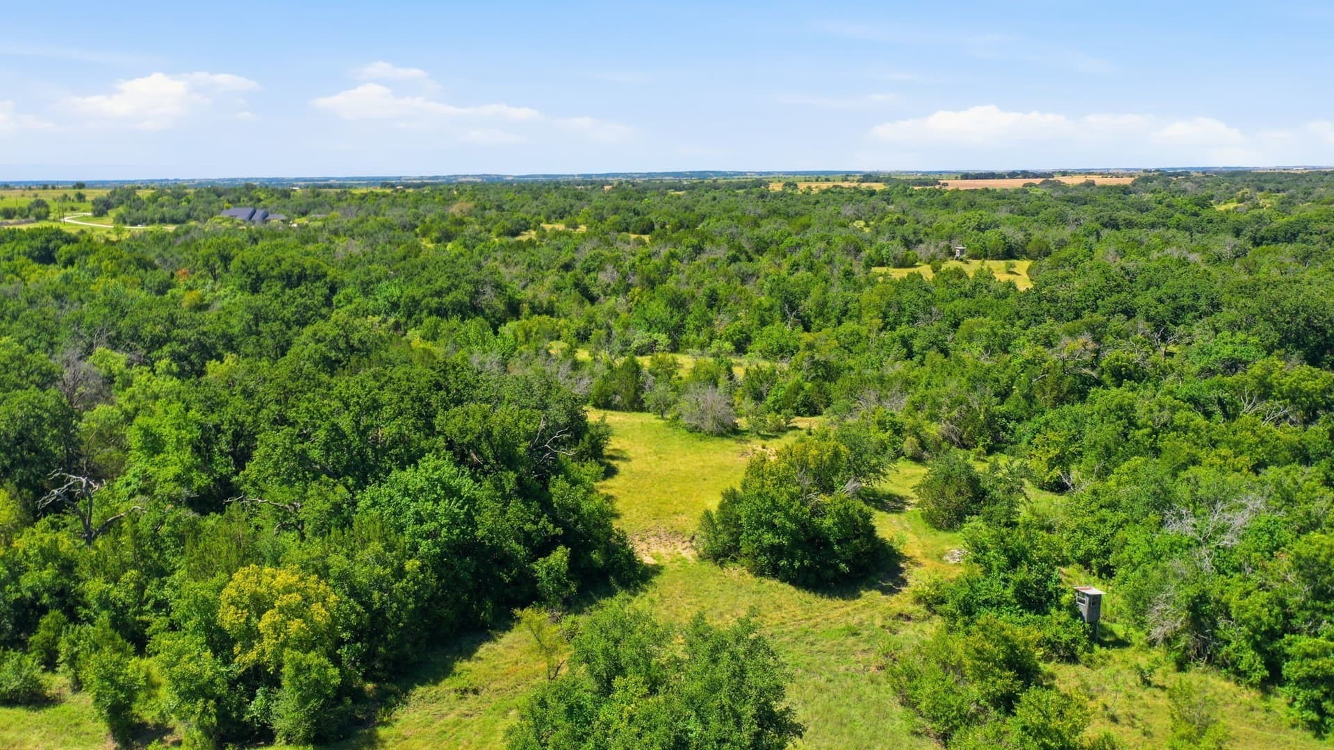 206 acres in Hamilton County - photo 16