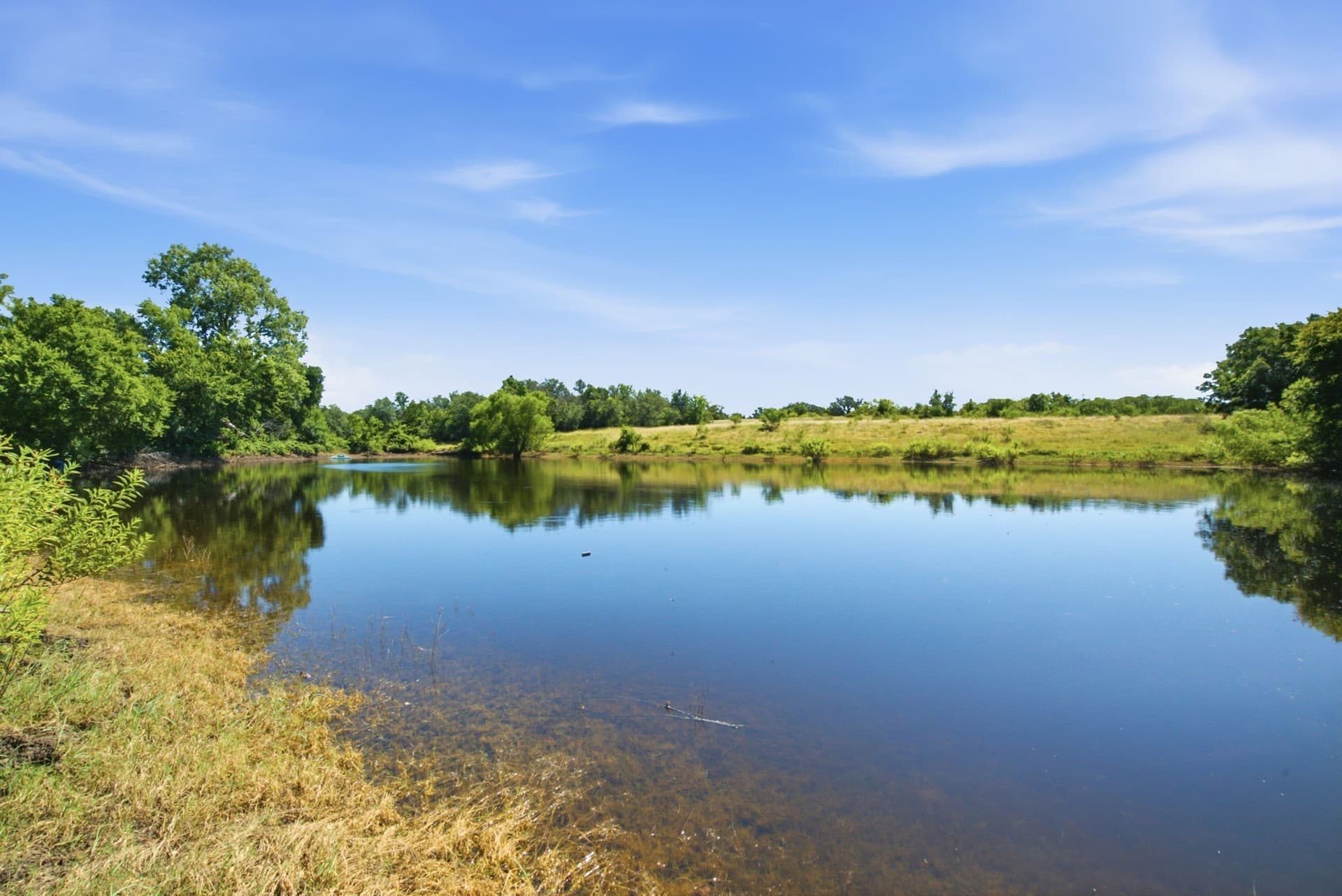 206 acres in Hamilton County - photo 6