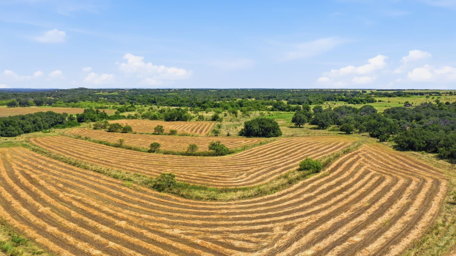 206 acres in Hamilton County - photo 12