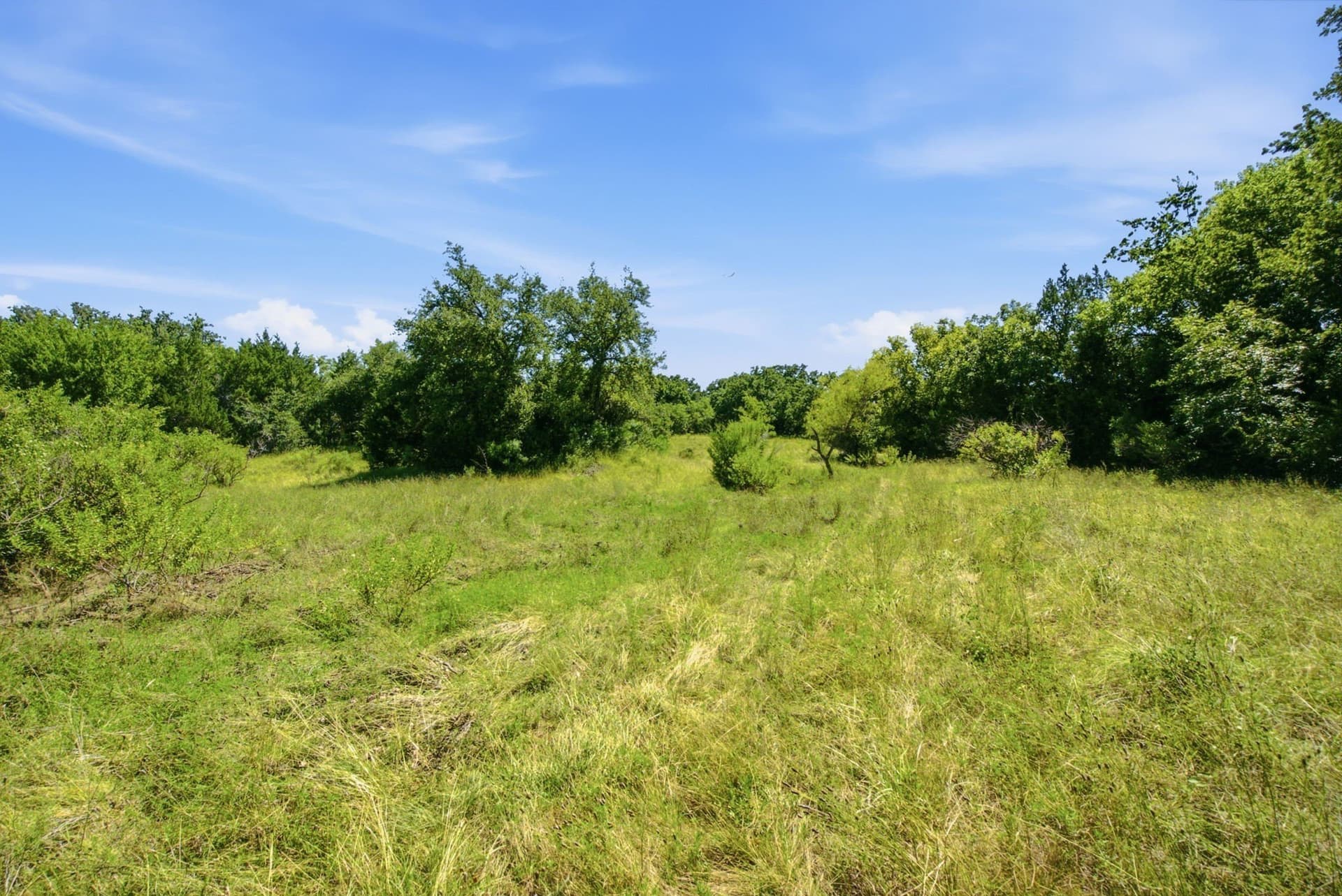 206 acres in Hamilton County - photo 24