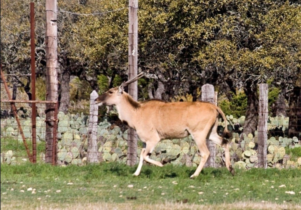 378 acres in Edwards County featured view