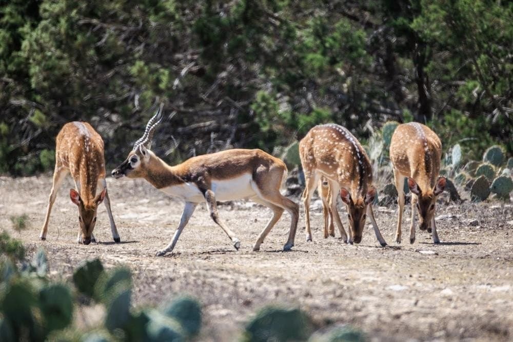 378 acres in Edwards County