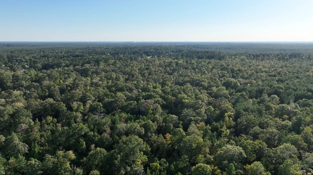 10 acres in Texas County - photo 4
