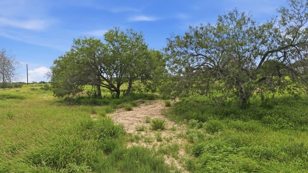 10 acres in Live Oak County