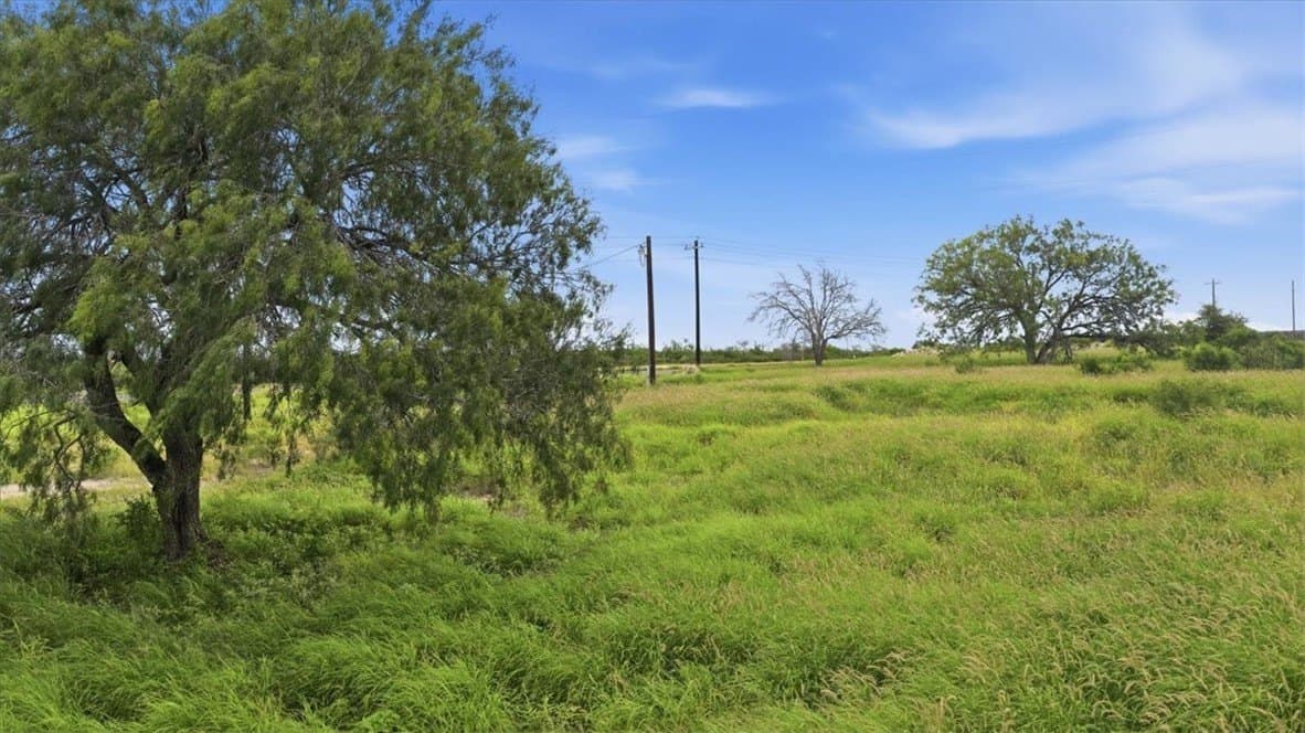 10 acres in Live Oak County gallery image 2