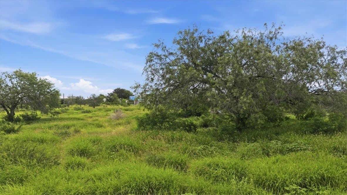 10 acres in Live Oak County featured view